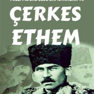 Milli Mücadeledeki İsyanlar ve Çerkes Ethem