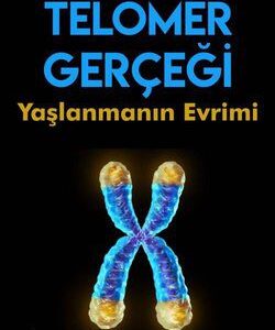 Telomer Gerçeği